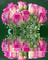 rosa rosa - Безплатен анимиран GIF анимиран GIF