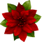 Christmas.Flower.Green.Red - png gratis GIF animasi