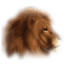 Kaz_Creations Animals Lion Cubs - bezmaksas png animēts GIF