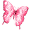 Steampunk.Butterfly.Pink - ilmainen png animoitu GIF