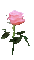 Цветок - Ücretsiz animasyonlu GIF animasyonlu GIF