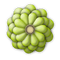 Kaz_Creations Deco Flower Colours Green - PNG gratuit GIF animé