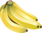 Fruit. Bananas. Leila - gratis png geanimeerde GIF