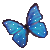 Papillon bleu - GIF animé gratuit GIF animé