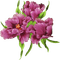 pink flowers sunshine3 - GIF animé gratuit