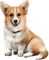 Kaz_Creations Dogs Dog Pup 🐶 - gratis png animeret GIF