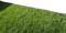 Gras - gratis png geanimeerde GIF