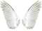 christmas noel angel wings fantasy - безплатен png анимиран GIF