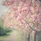 Background Spring - gratis png animerad GIF