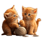 chats - kostenlos png Animiertes GIF