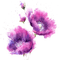 flowers  Bb2 - zdarma png animovaný GIF