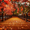 kikkapink autumn background animated