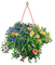 Blumenampel - kostenlos png Animiertes GIF