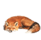 fox katrin - bezmaksas png animēts GIF