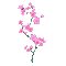 spring blossom - Бесплатни анимирани ГИФ анимирани ГИФ