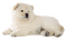 Chien ! - Free PNG Animated GIF