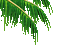 пальма. - Bezmaksas animēts GIF animēts GIF