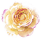 Rose pêche - png gratis GIF animado