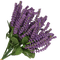 Veronica flowers - Бесплатни анимирани ГИФ