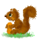 Animated Squirrel - 免费动画 GIF 动画 GIF