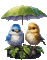 Pájaros con sombrilla - 無料のアニメーション GIF アニメーションGIF