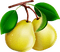 pears Bb2 - δωρεάν png κινούμενο GIF