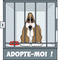 chien triste - GIF animado gratis GIF animado