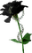 Kaz_Creations Deco Black Flower - gratis png animeret GIF