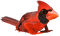Cardinal frog - gratis png geanimeerde GIF