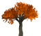 Fall Tree-RM - png gratis GIF animasi