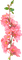 pink flowers blossom - PNG gratuit GIF animé
