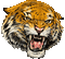 tigre HD - Besplatni animirani GIF animirani GIF