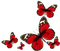Papillons - kostenlos png Animiertes GIF