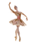 ballerina - zdarma png animovaný GIF