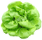 vegetables bp - darmowe png animowany gif