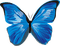 Kaz_Creations Butterfly - png gratis GIF animado