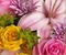 image encre fleurs couleur texture effet edited by me - png gratis GIF animasi
