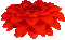 fiore rosso tridimensionale - Nemokamas animacinis gif animuotas GIF