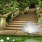 staircase katrin - zadarmo png animovaný GIF