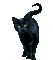BLACK CAT - GIF animé gratuit GIF animé