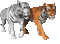 tygrysy - Darmowy animowany GIF animowany gif