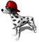 chien pompier - 無料のアニメーション GIF アニメーションGIF