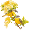 Deco oiseau sur branche de fleurs jaunes  (stamp clem27)