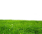 field  terrain - PNG gratuit GIF animé