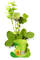 Kaz_Creations St.Patricks Day Deco Hat - Free PNG Animated GIF
