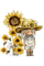 loly33 enfant tournesol - Free PNG Animated GIF