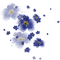 flower-blue-deco-minou52 - png ฟรี GIF แบบเคลื่อนไหว