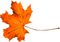 Leaf.Orange - besplatni png animirani GIF