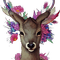 kikkapink deer fantasy flowers - png ฟรี GIF แบบเคลื่อนไหว
