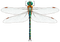dragonfly - darmowe png animowany gif